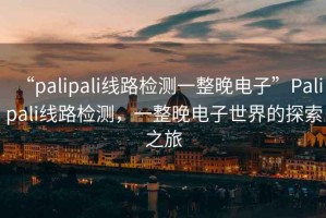 “palipali線路檢測一整晚電子”Palipali線路檢測，一整晚電子世界的探索之旅