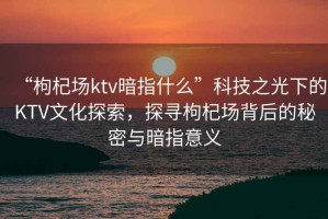 “枸杞場ktv暗指什么”科技之光下的KTV文化探索，探尋枸杞場背后的秘密與暗指意義