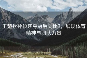 王楚欽孫穎莎奪冠后同比3，展現體育精神與團隊力量