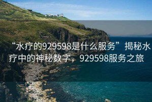 “水療的929598是什么服務”揭秘水療中的神秘數字，929598服務之旅
