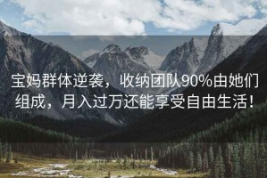 寶媽群體逆襲，收納團隊90%由她們組成，月入過萬還能享受自由生活！