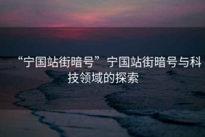 “寧國站街暗號”寧國站街暗號與科技領域的探索
