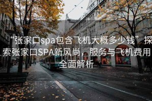 “張家口spa包含飛機大概多少錢”探索張家口SPA新風尚，服務與飛機費用全面解析