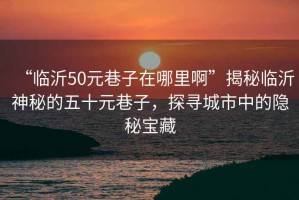 “臨沂50元巷子在哪里啊”揭秘臨沂神秘的五十元巷子，探尋城市中的隱秘寶藏