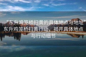 “東升雞籠橋掃黃的具體地點與地址”東升雞籠橋掃黃行動，揭開具體地點與行動細節