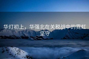 華燈初上，華強北在關稅戰中的霓虹堅守