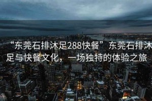 “東莞石排沐足288快餐”東莞石排沐足與快餐文化，一場獨特的體驗之旅