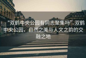 “雙鶴中央公園有同志聚集嗎”雙鶴中央公園，自然之美與人文之韻的交融之地
