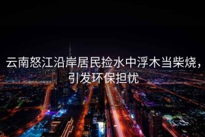 云南怒江沿岸居民撿水中浮木當柴燒，引發環保擔憂