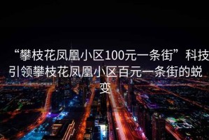 “攀枝花鳳凰小區100元一條街”科技引領攀枝花鳳凰小區百元一條街的蛻變