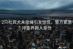 2只杜賓犬未拴繩引發驚慌，警方緊急排查養狗人身份