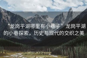 “龍崗平湖哪里有小巷子”龍崗平湖的小巷探索，歷史與現代的交織之美