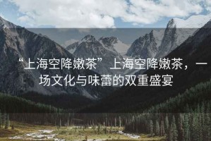 “上海空降嫩茶”上海空降嫩茶，一場文化與味蕾的雙重盛宴