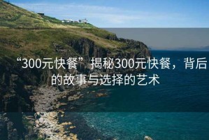 “300元快餐”揭秘300元快餐，背后的故事與選擇的藝術(shù)