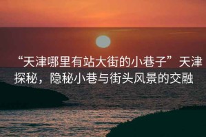 “天津哪里有站大街的小巷子”天津探秘，隱秘小巷與街頭風景的交融