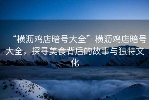 “橫瀝雞店暗號大全”橫瀝雞店暗號大全，探尋美食背后的故事與獨特文化