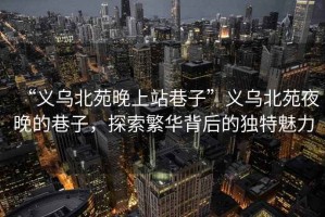 “義烏北苑晚上站巷子”義烏北苑夜晚的巷子，探索繁華背后的獨(dú)特魅力