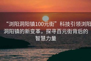 “瀏陽洞陽鎮100元街”科技引領瀏陽洞陽鎮的新變革，探尋百元街背后的智慧力量