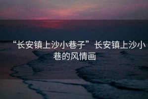 “長安鎮上沙小巷子”長安鎮上沙小巷的風情畫