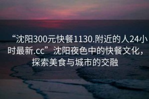 “沈陽300元快餐1130.附近的人24小時最新.cc”沈陽夜色中的快餐文化，探索美食與城市的交融