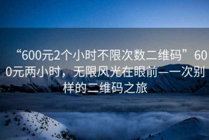 “600元2個小時不限次數二維碼”600元兩小時，無限風光在眼前—一次別樣的二維碼之旅