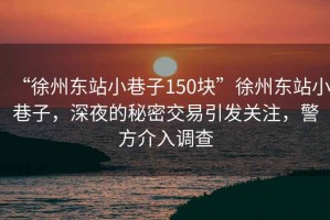 “徐州東站小巷子150塊”徐州東站小巷子，深夜的秘密交易引發關注，警方介入調查