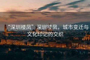 “深圳樓鳳”深圳樓鳳，城市變遷與文化印記的交織