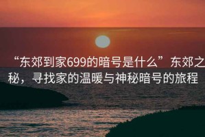 “東郊到家699的暗號(hào)是什么”東郊之秘，尋找家的溫暖與神秘暗號(hào)的旅程