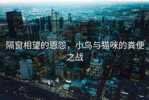 隔窗相望的恩怨，小鳥與貓咪的糞便之戰
