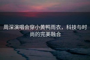 周深演唱會穿小黃鴨雨衣，科技與時尚的完美融合