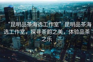 “昆明品茶海選工作室”昆明品茶海選工作室，探尋茶韻之美，體驗品茶之樂
