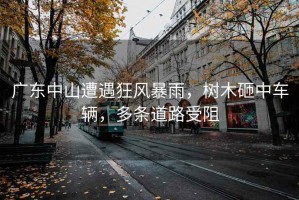 廣東中山遭遇狂風暴雨，樹木砸中車輛，多條道路受阻