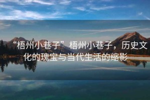 “梧州小巷子”梧州小巷子，歷史文化的瑰寶與當代生活的縮影