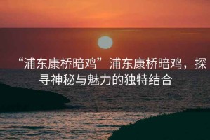 “浦東康橋暗雞”浦東康橋暗雞，探尋神秘與魅力的獨特結合
