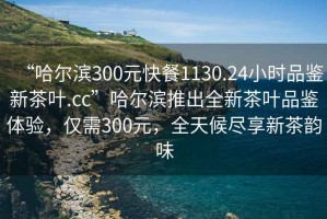 “哈爾濱300元快餐1130.24小時品鑒新茶葉.cc”哈爾濱推出全新茶葉品鑒體驗，僅需300元，全天候盡享新茶韻味