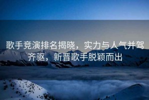 歌手競演排名揭曉，實力與人氣并駕齊驅，新晉歌手脫穎而出