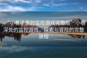 “小巷子里的監控游戲完整版”小巷深處的監控游戲，探索與冒險的完整旅程