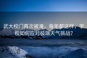 武大校門再次被淹，每年都這樣，學校如何應對極端天氣挑戰？