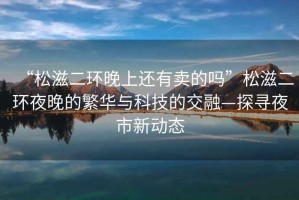 “松滋二環晚上還有賣的嗎”松滋二環夜晚的繁華與科技的交融—探尋夜市新動態