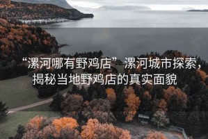“漯河哪有野雞店”漯河城市探索，揭秘當(dāng)?shù)匾半u店的真實(shí)面貌