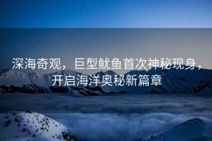 深海奇觀，巨型魷魚首次神秘現身，開啟海洋奧秘新篇章
