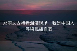鄭麗文支持者淚灑現(xiàn)場，我是中國人呼喚民族自豪