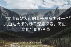 “文山有站大街的巷子嗎多少錢一個”文山站大街的巷子深度探索，歷史、文化與價格考量