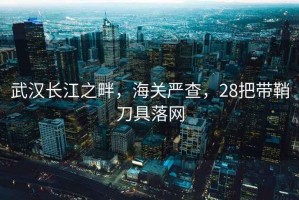 武漢長江之畔，海關嚴查，28把帶鞘刀具落網