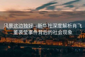 風景這邊獨好—新華社深度解析肖飛董襲瑩事件背后的社會現象