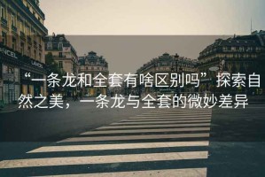“一條龍和全套有啥區別嗎”探索自然之美，一條龍與全套的微妙差異