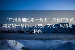 “廣州黃埔姑娘一條街”揭秘廣州黃埔姑娘一條街，歷史、文化、風情與特色