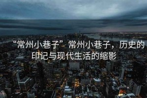 “常州小巷子”常州小巷子，歷史的印記與現代生活的縮影