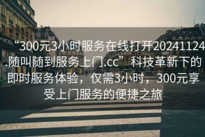 “300元3小時(shí)服務(wù)在線(xiàn)打開(kāi)20241124.隨叫隨到服務(wù)上門(mén).cc”科技革新下的即時(shí)服務(wù)體驗(yàn)，僅需3小時(shí)，300元享受上門(mén)服務(wù)的便捷之旅