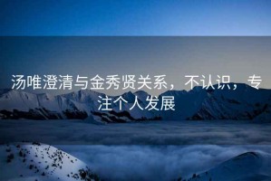 湯唯澄清與金秀賢關系，不認識，專注個人發展